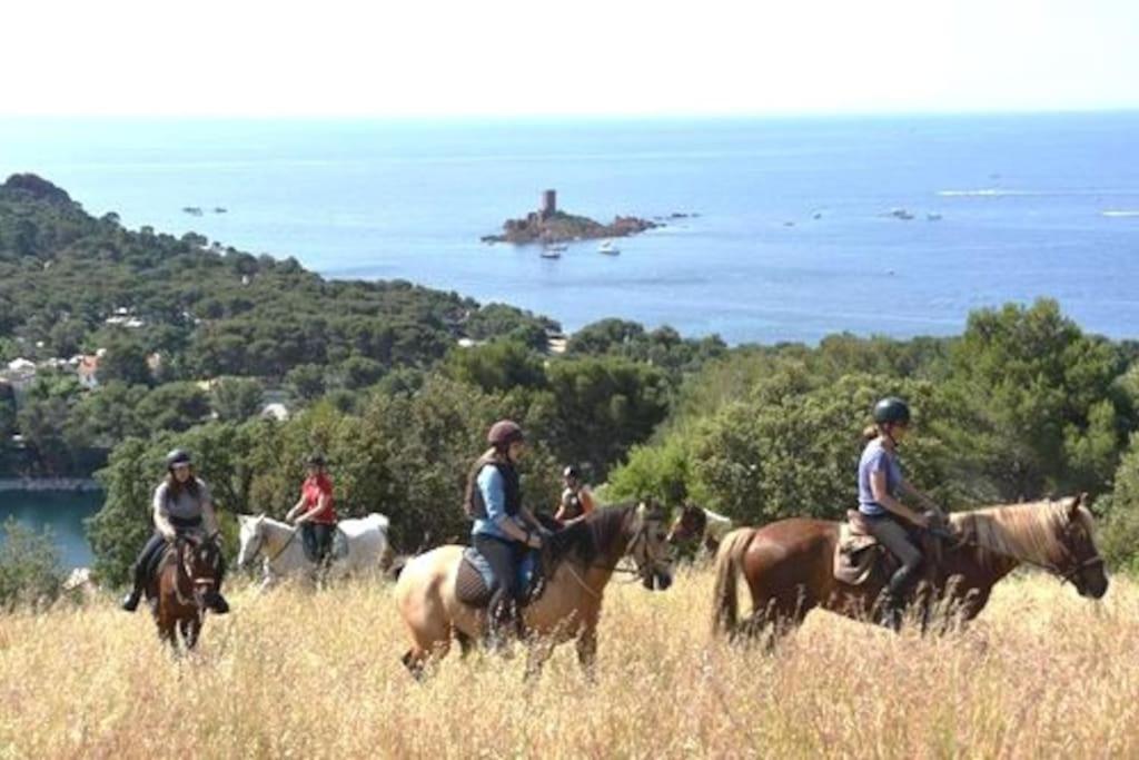 Dans Un Cadre D'Exception, Vue Mer Panoramique A Agay Cote D'Azur, Village Vacances Cap Esterel, T2 Avec Jardin, Golf, Climatisation, Wifi, 5 Piscines Saint-Raphaël 외부 사진