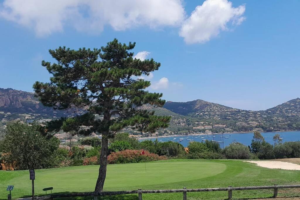 Dans Un Cadre D'Exception, Vue Mer Panoramique A Agay Cote D'Azur, Village Vacances Cap Esterel, T2 Avec Jardin, Golf, Climatisation, Wifi, 5 Piscines Saint-Raphaël 외부 사진