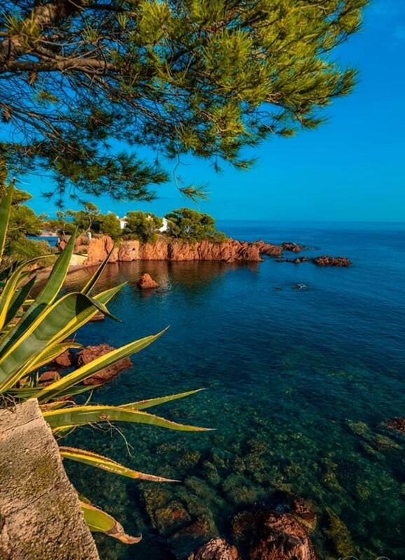 Dans Un Cadre D'Exception, Vue Mer Panoramique A Agay Cote D'Azur, Village Vacances Cap Esterel, T2 Avec Jardin, Golf, Climatisation, Wifi, 5 Piscines Saint-Raphaël 외부 사진